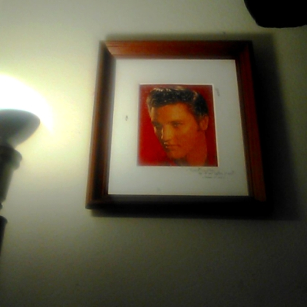 Elvis presley puzzle